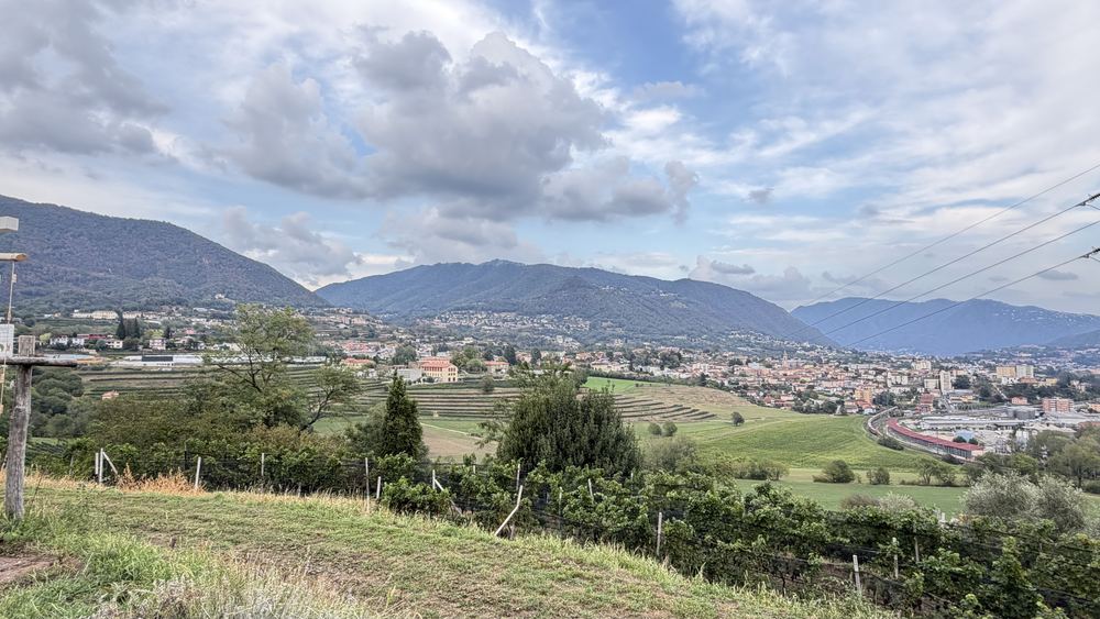 La vigna della Tenuta Trapletti verso Mendrisio